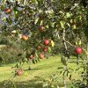 37_wehntaler Hagöpfel5